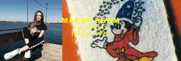прущие грибы Нефтегорск
