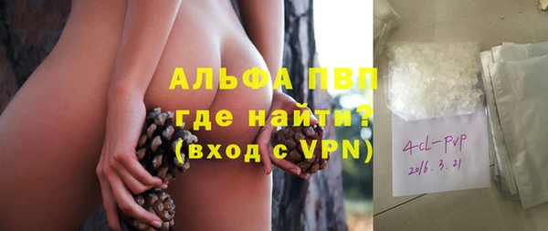 прущие грибы Нефтегорск