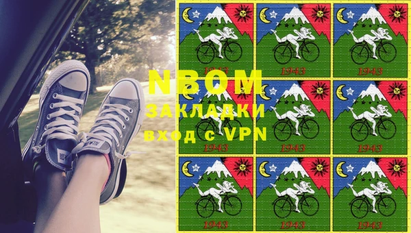 прущие грибы Нефтегорск