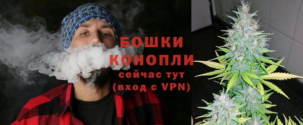 сатива Струнино